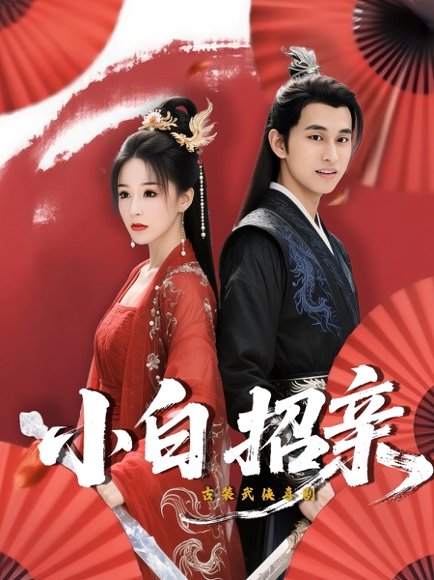 小白招亲 (78集) 菲儿 高清完整版