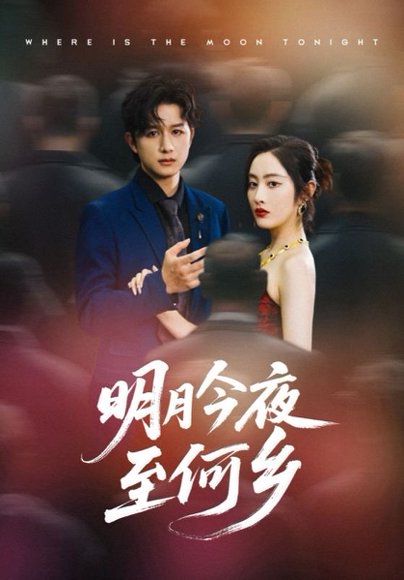 明月今夜至何乡（70集） 高清完整版