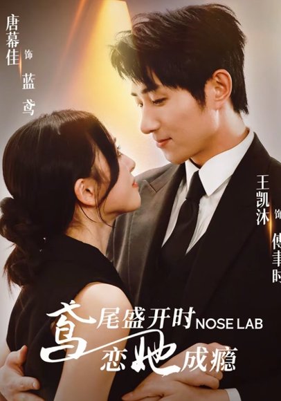 鸢尾盛开时恋她成瘾（20集）王凯沐＆唐幕佳 高清完整版